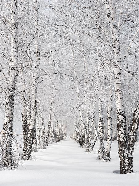 Katebackdrop:Kate Winter Scenic Phtography Tree Snow Photo Background