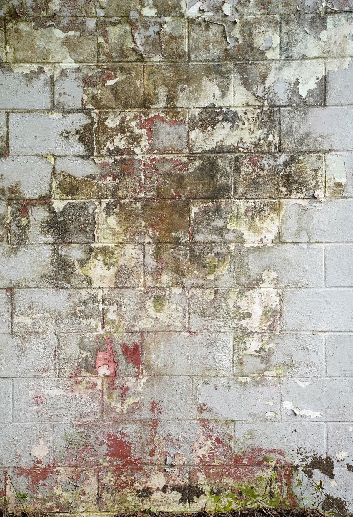 Kate Backstein Entworfen von Arica Kirby Kulisse Für Fotografie - Kate Backdrop.de