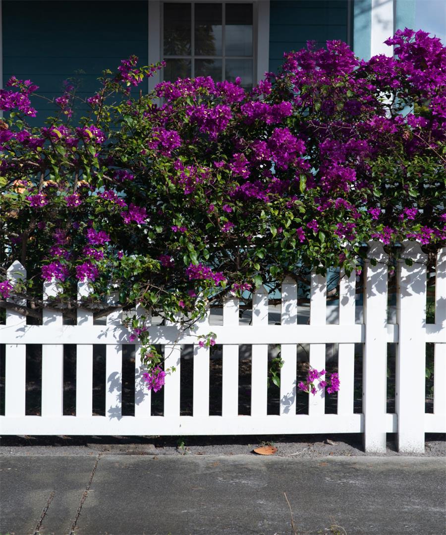 Kate Geländer und Blumen Frühlingshintergrund Entworfen von Tyna Renner - Kate Backdrop.de