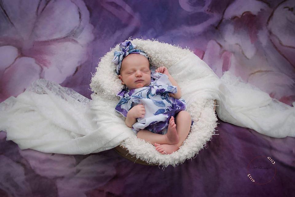 Katebackdrop£ºKate Fine Art Purple Painting Flowers Backdrop for Photography