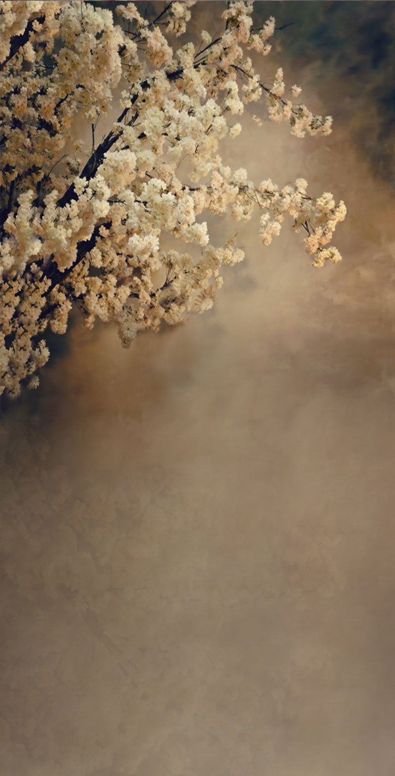 Kate Sweep abstrakte Blumen Hintergrund für die Fotografie - Kate Backdrop.de