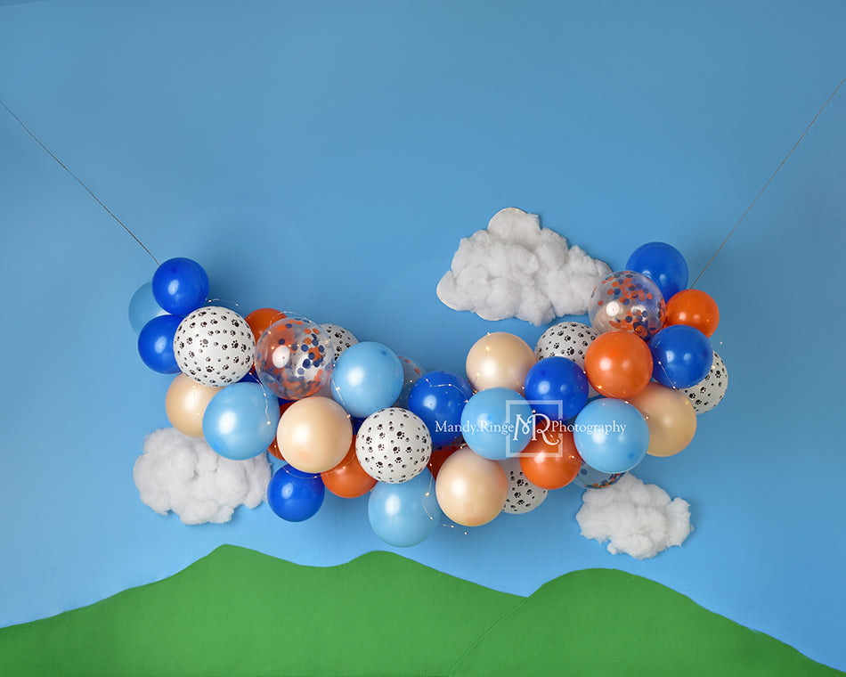 Kate Luftballons Junge Wolken Geburtstag Hintergrund von Mandy Ringe Photography - Kate Backdrop.de
