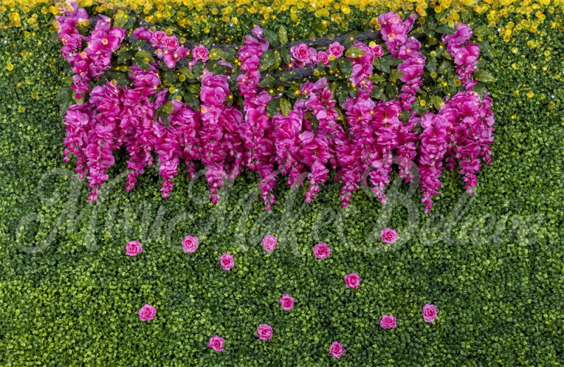 Kate Glyzinie Rose Hintergrund Cake Smash Hochzeit von Mini MakeBelieve - Kate Backdrop.de