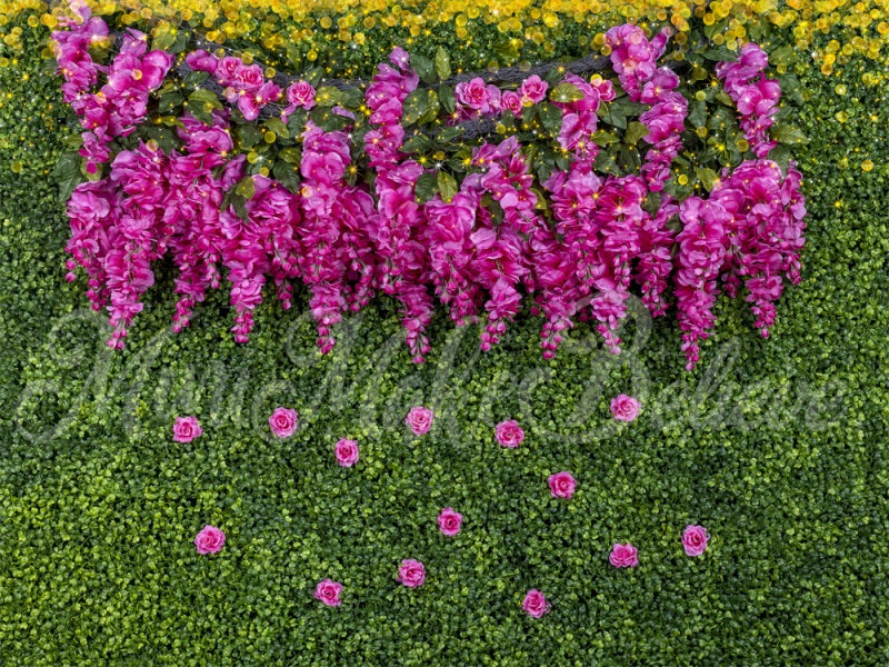 Kate Glyzinie Rose Hintergrund Cake Smash Hochzeit von Mini MakeBelieve - Kate Backdrop.de