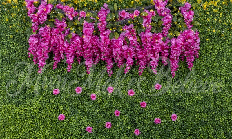 Kate Glyzinie Rose Hintergrund Cake Smash Hochzeit von Mini MakeBelieve - Kate Backdrop.de