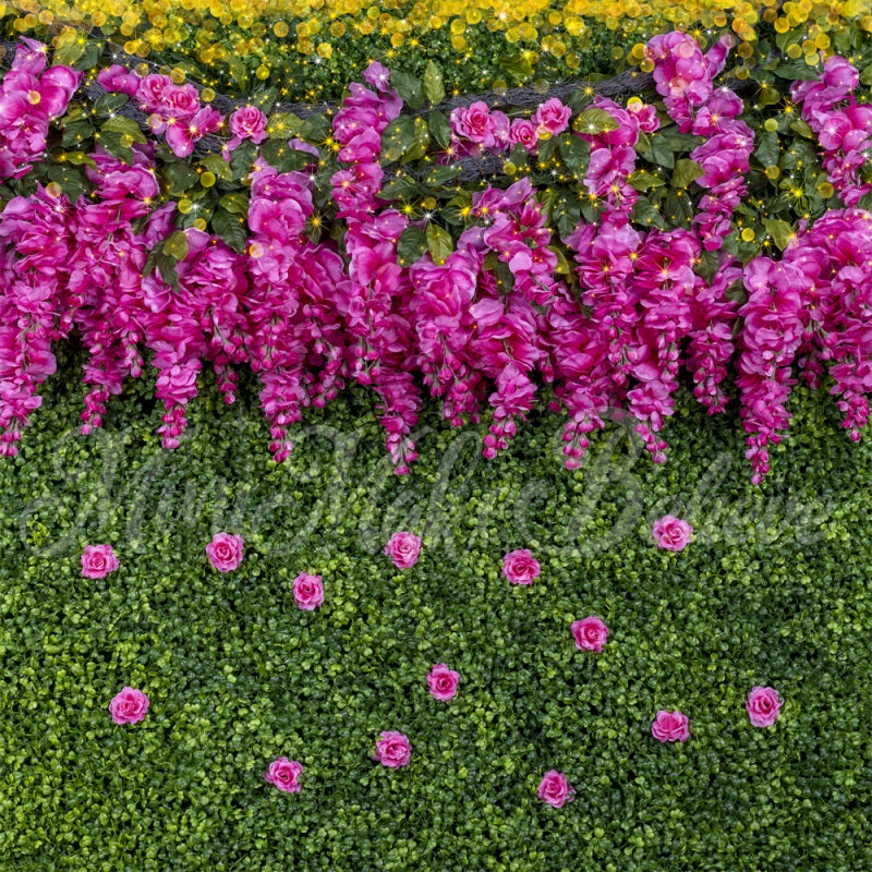 Kate Glyzinie Rose Hintergrund Cake Smash Hochzeit von Mini MakeBelieve - Kate Backdrop.de