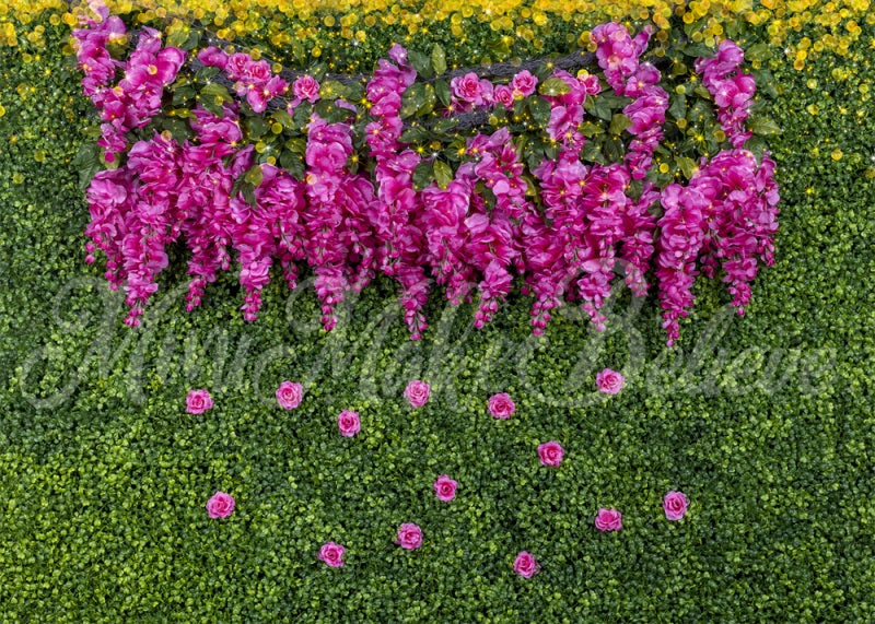 Kate Glyzinie Rose Hintergrund Cake Smash Hochzeit von Mini MakeBelieve - Kate Backdrop.de