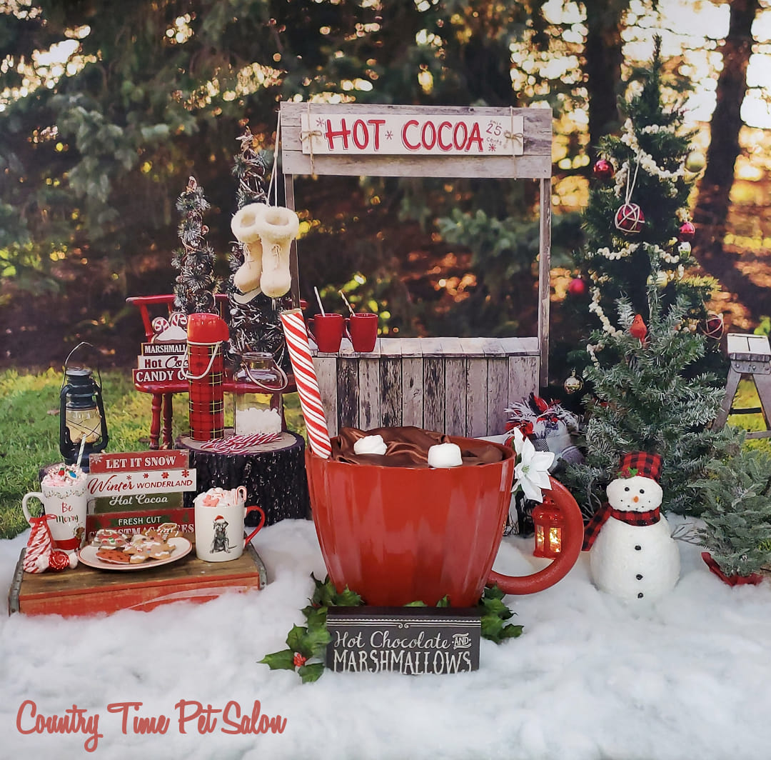 Kate Hot Cocoa Stand Weihnachten Baum Hintergrund von Mandy Ringe Photography - Kate Backdrop.de