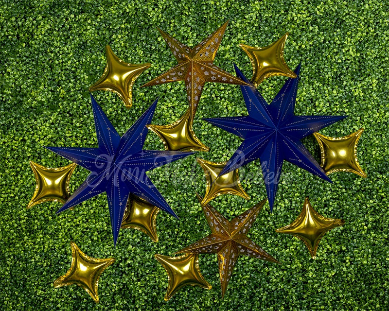 Kate Sterne Hintergrund Junge Cake Smash von Mini MakeBelieve - Kate Backdrop.de