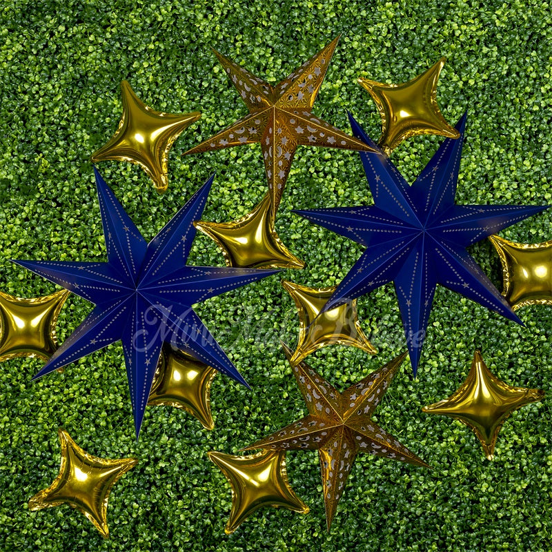 Kate Sterne Hintergrund Junge Cake Smash von Mini MakeBelieve - Kate Backdrop.de