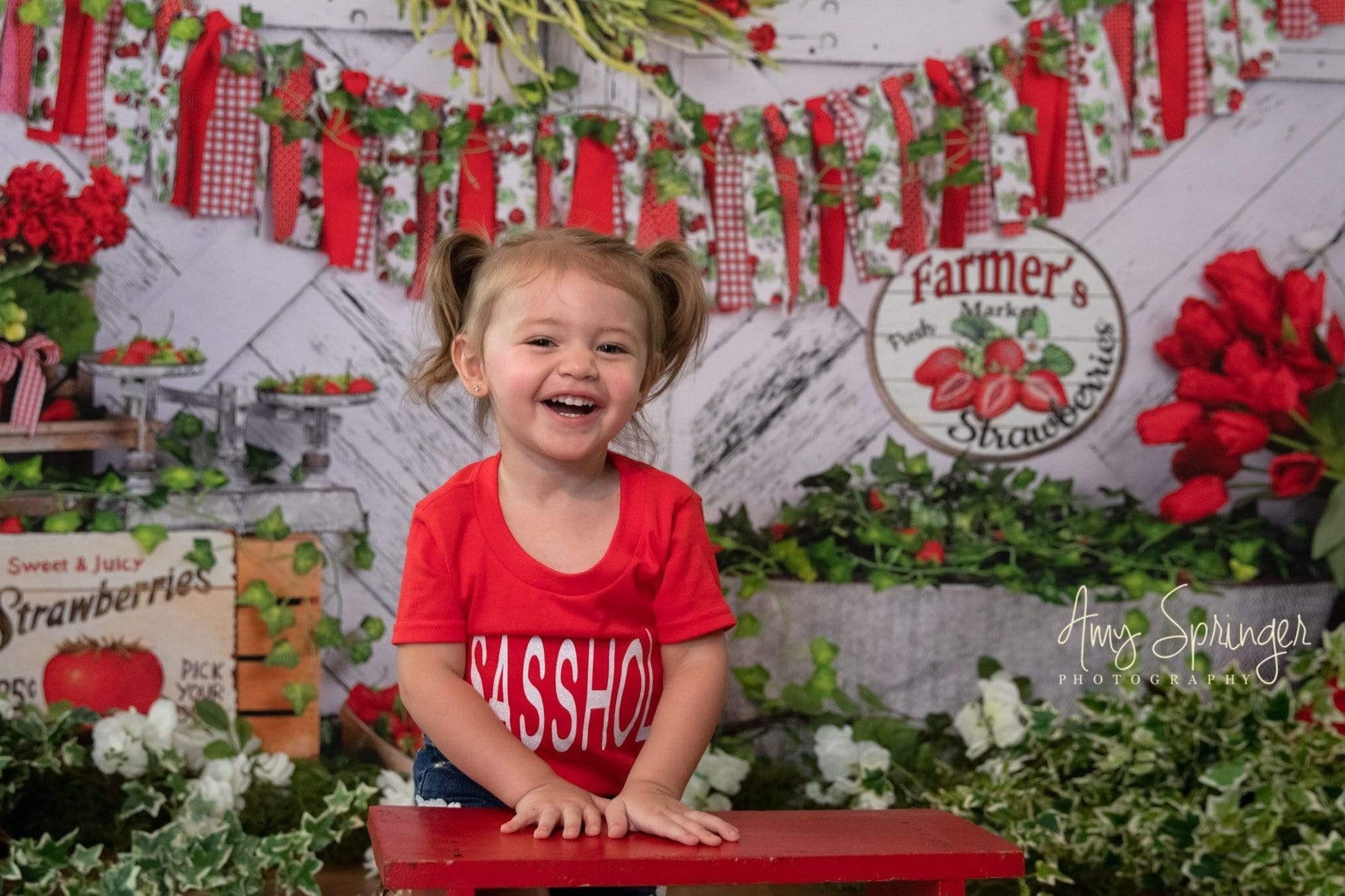 Kate Sommer Erdbeere Weißes Holzbrett mit Bannern Hintergrund - Kate Backdrop.de
