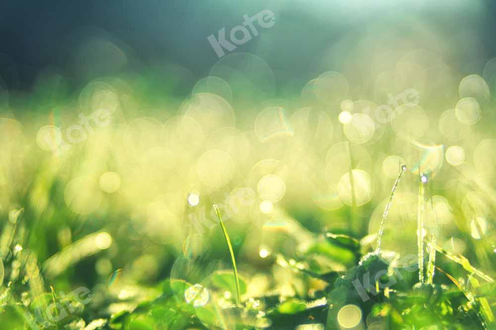 Kate Frühling Morgen Hintergrund Tau Bokeh von Chain Photography - Kate Backdrop.de