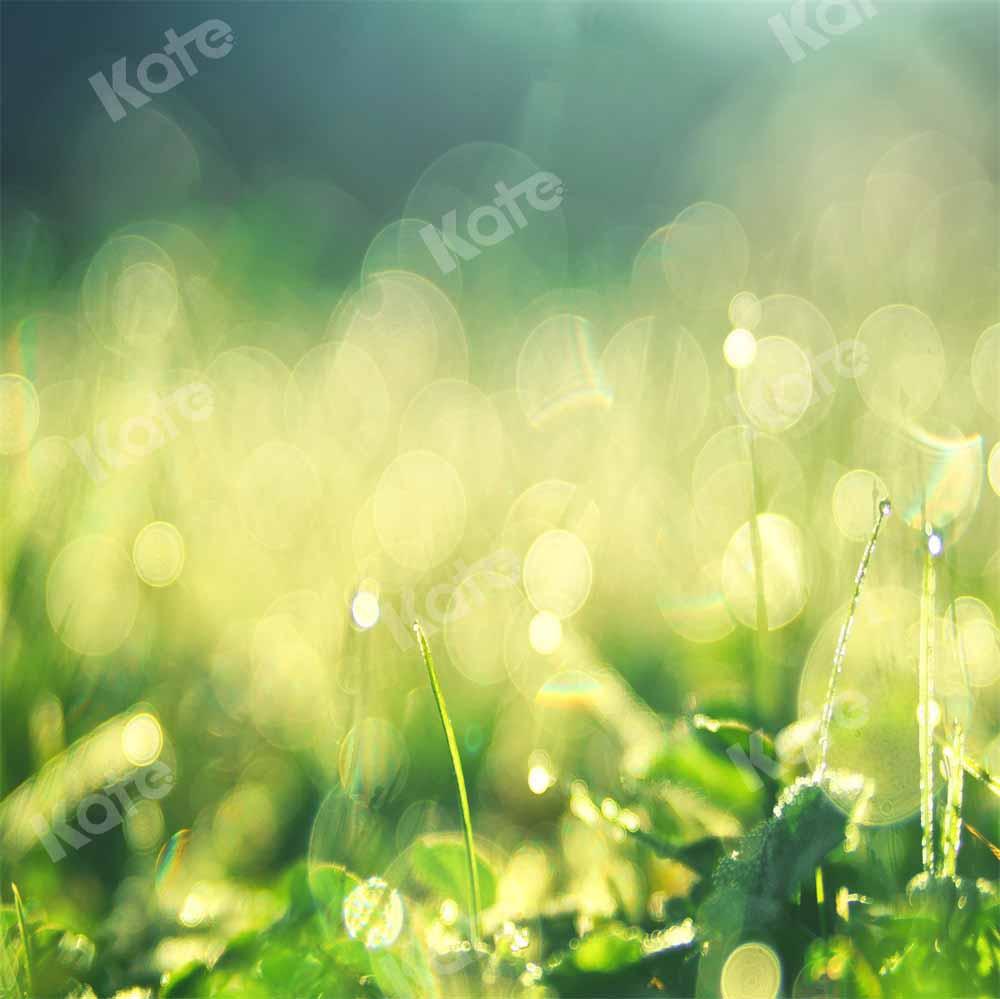 Kate Frühling Morgen Hintergrund Tau Bokeh von Chain Photography - Kate Backdrop.de