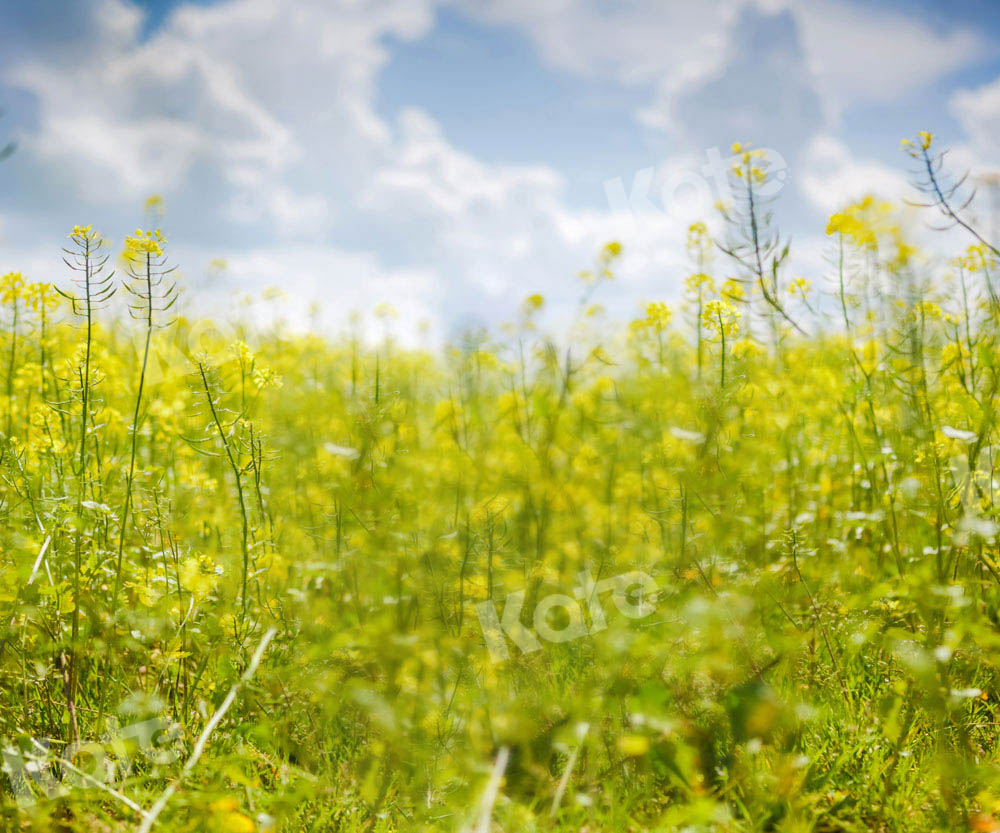 Kate Frühling Himmel Wolken Blumen Hintergrund von Emetselch - Kate Backdrop.de