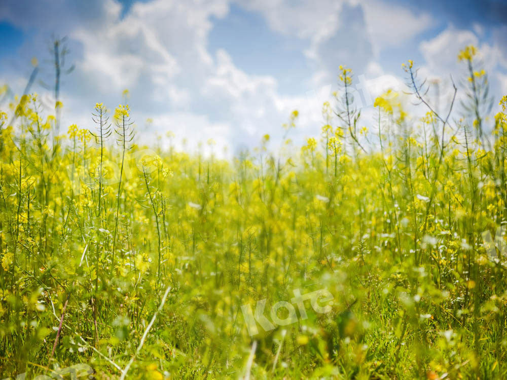 Kate Frühling Himmel Wolken Blumen Hintergrund von Emetselch - Kate Backdrop.de