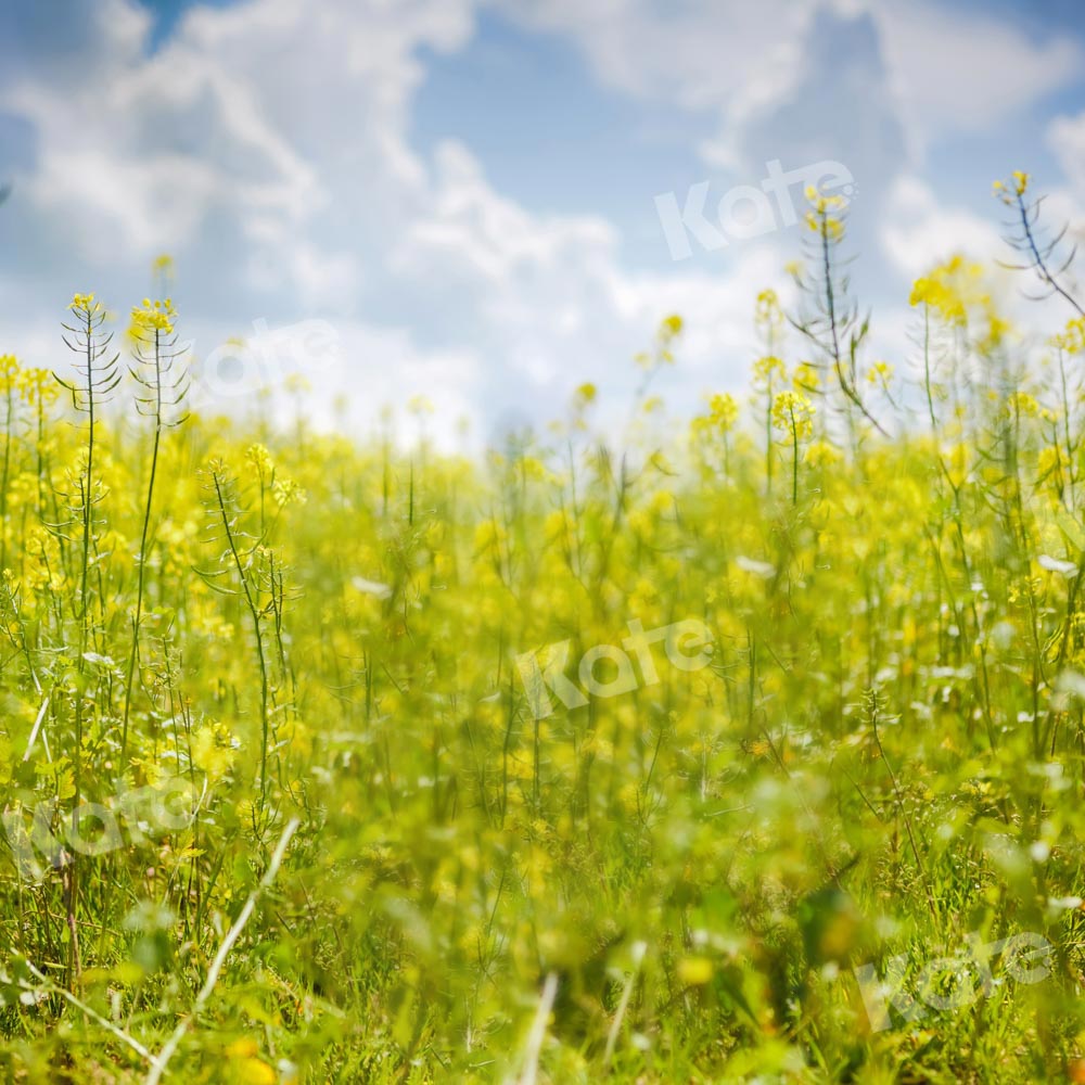 Kate Frühling Himmel Wolken Blumen Hintergrund von Emetselch - Kate Backdrop.de