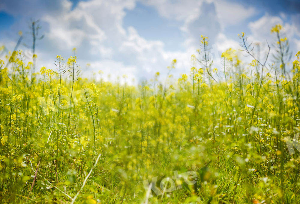 Kate Frühling Himmel Wolken Blumen Hintergrund von Emetselch - Kate Backdrop.de