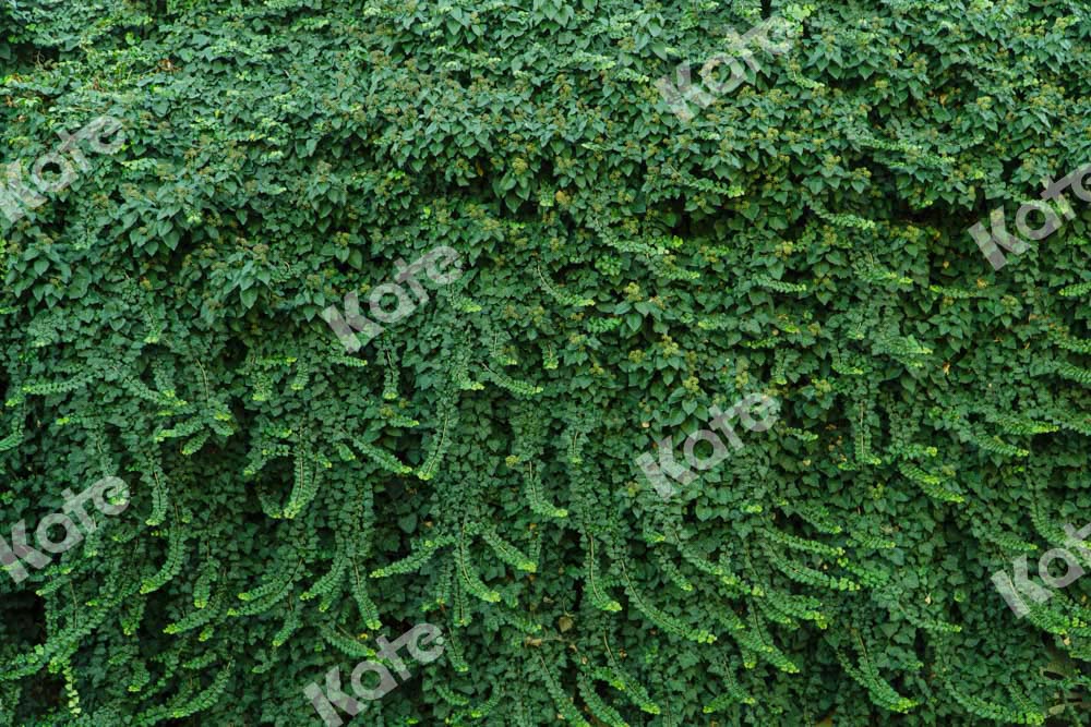 Kate Sommer Wand Hintergrund Grüne Blätter Hochzeit von Chain Photography - Kate Backdrop.de