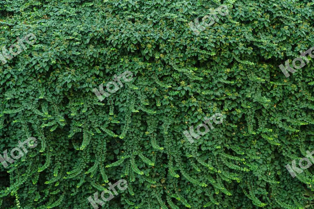 Kate Sommer Wand Hintergrund Grüne Blätter Hochzeit von Chain Photography - Kate Backdrop.de