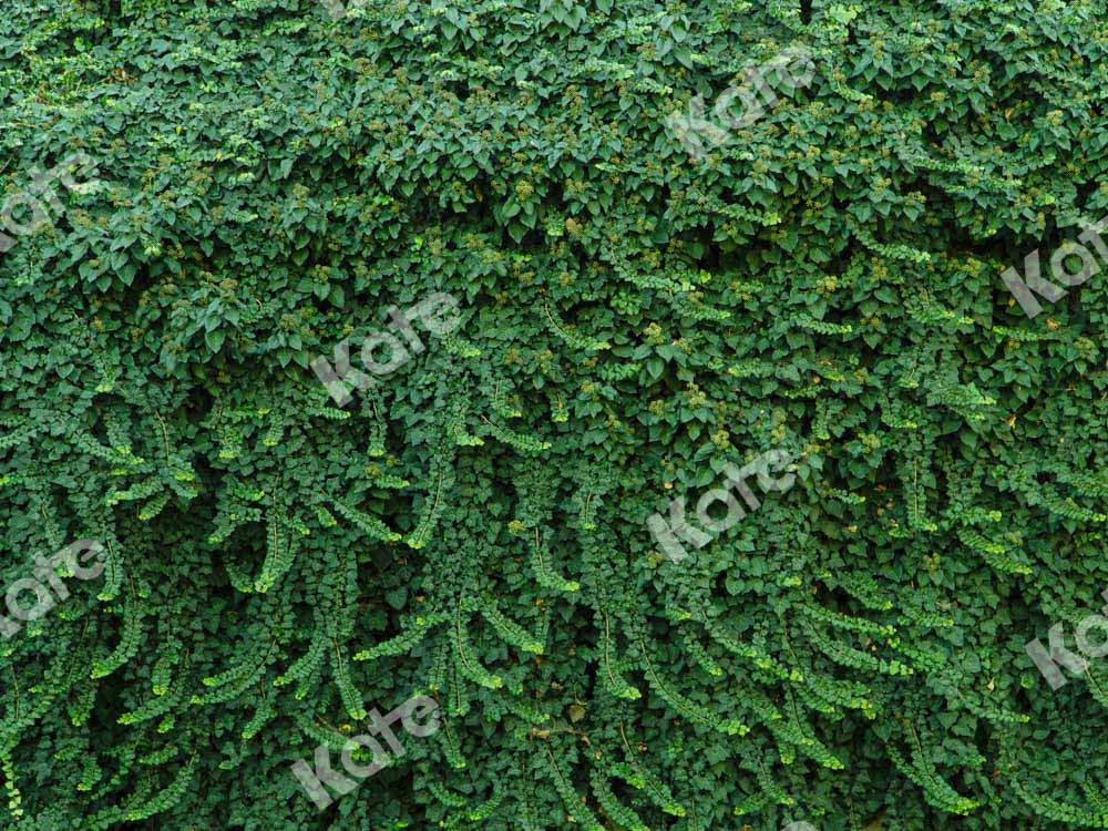 Kate Sommer Wand Hintergrund Grüne Blätter Hochzeit von Chain Photography - Kate Backdrop.de