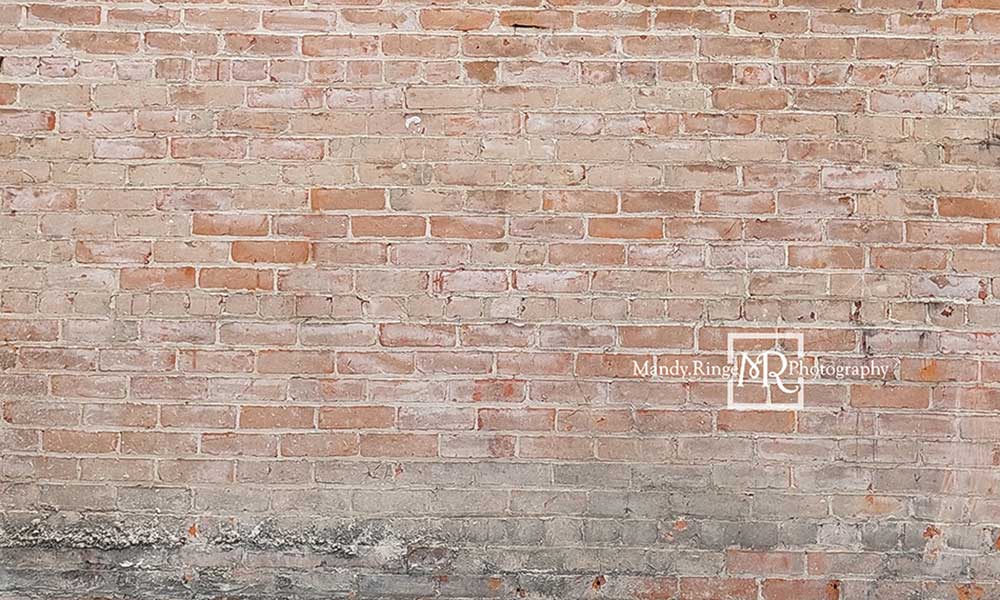 Kate Retro schäbig Backstein Hintergrund von Mandy Ringe Photography - Kate Backdrop.de