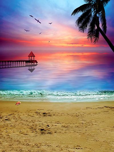 Katebackdrop£ºKate Summer Sea Color Sky Evening Scenic Backdrop