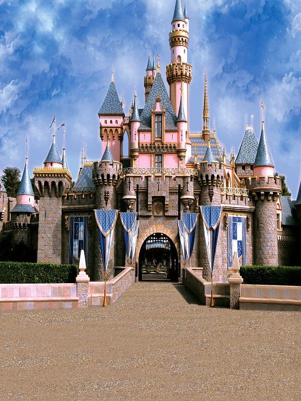 Katebackdrop:Kate Castle Blue Sky Photo Backdrop Photography Prop