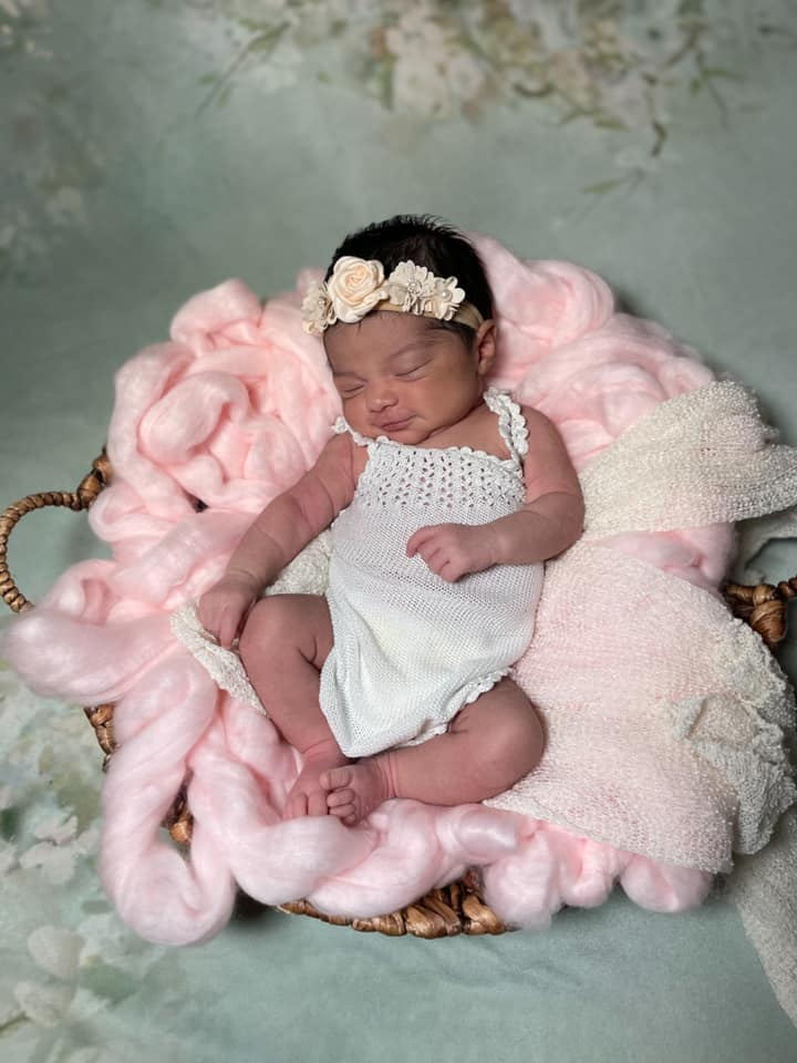 Kate ähnlich Malerei grüner Frühlings Blumen Hintergrund - Kate Backdrop.de