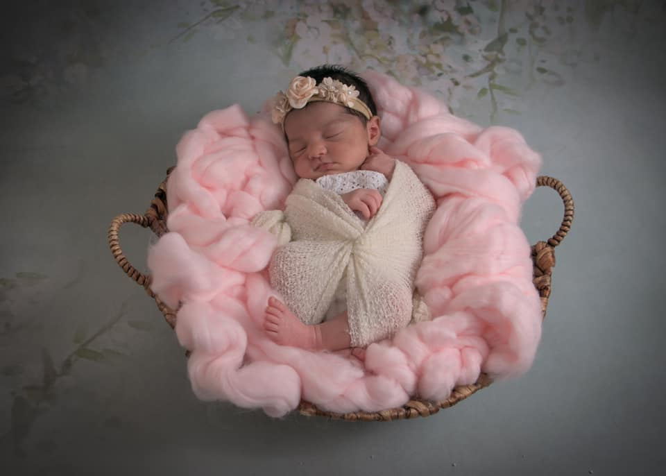 Kate ähnlich Malerei grüner Frühlings Blumen Hintergrund - Kate Backdrop.de