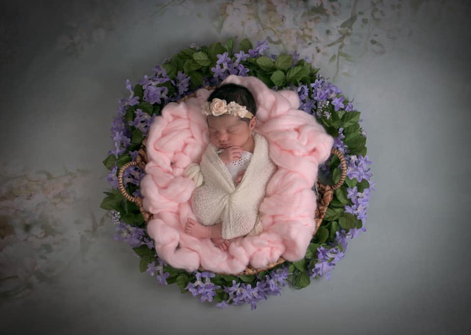 Kate ähnlich Malerei grüner Frühlings Blumen Hintergrund - Kate Backdrop.de