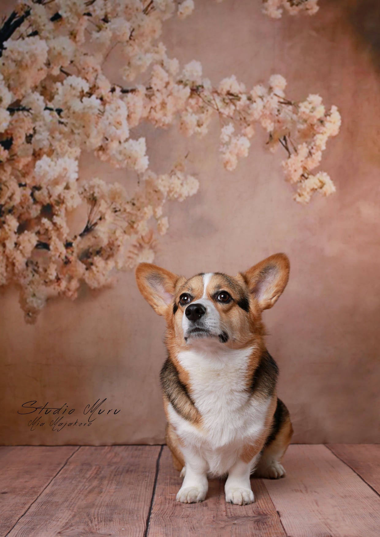 Kate Abstrakt Hintergrund Mit Blumen für Fotografie - Kate Backdrop.de