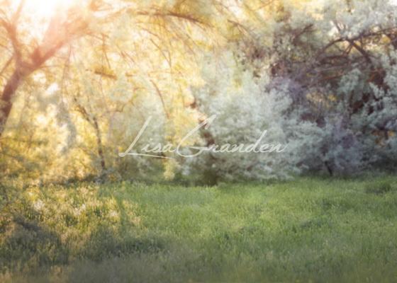 Katebackdrop£ºKate Spring Park Lawn Backdrop for Photography Designed by Lisa Granden