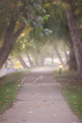 Katebackdrop£ºKate Foggy Path Backdrop Designed by Lisa Granden