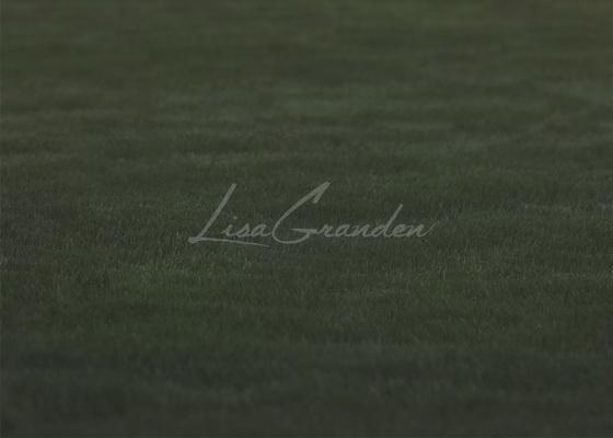 Kate Grasboden Hintergrund für Fotografie Entworfen von Lisa Granden
