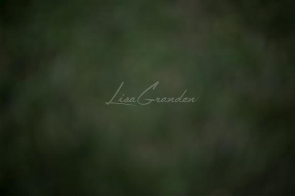 Kate Grüner Boden Hintergrund für Fotografie von Lisa Granden - Kate Backdrop.de