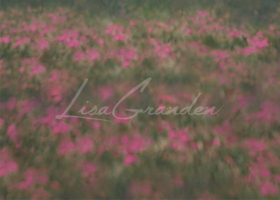 Kate Rosa Obstgarten-Boden-Hintergrund für Fotografie Entworfen von Lisa Granden - Kate Backdrop.de