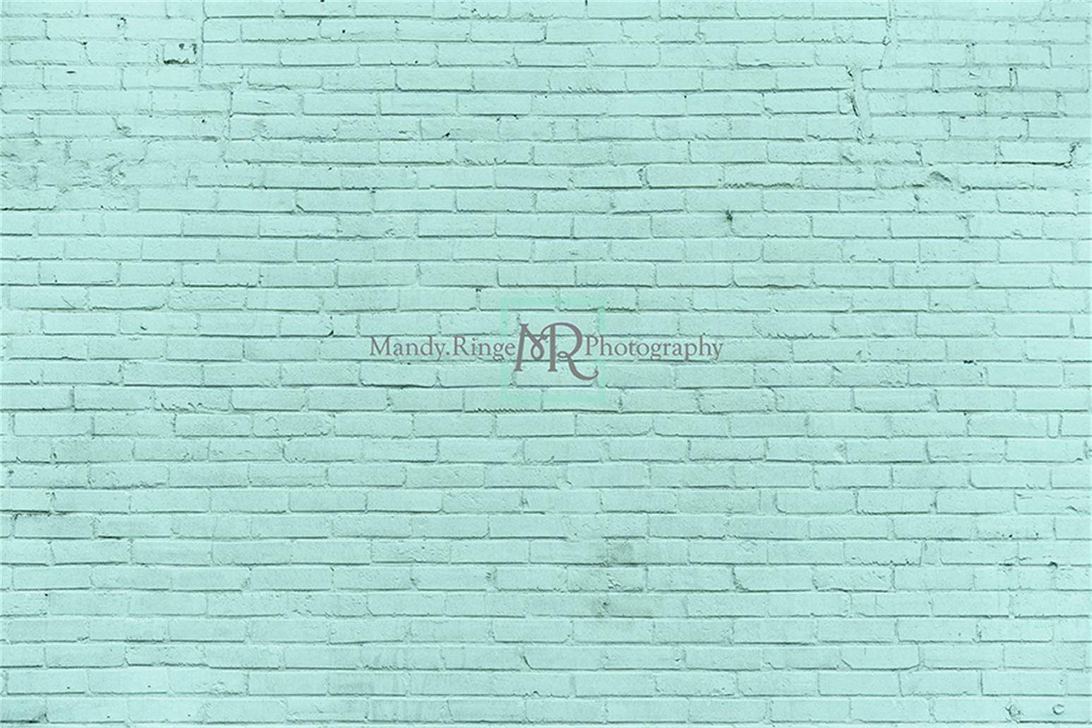 Katebackdrop£ºKate Aqua Brick Photo Backdrop Designed by Mandy Ringe Photography