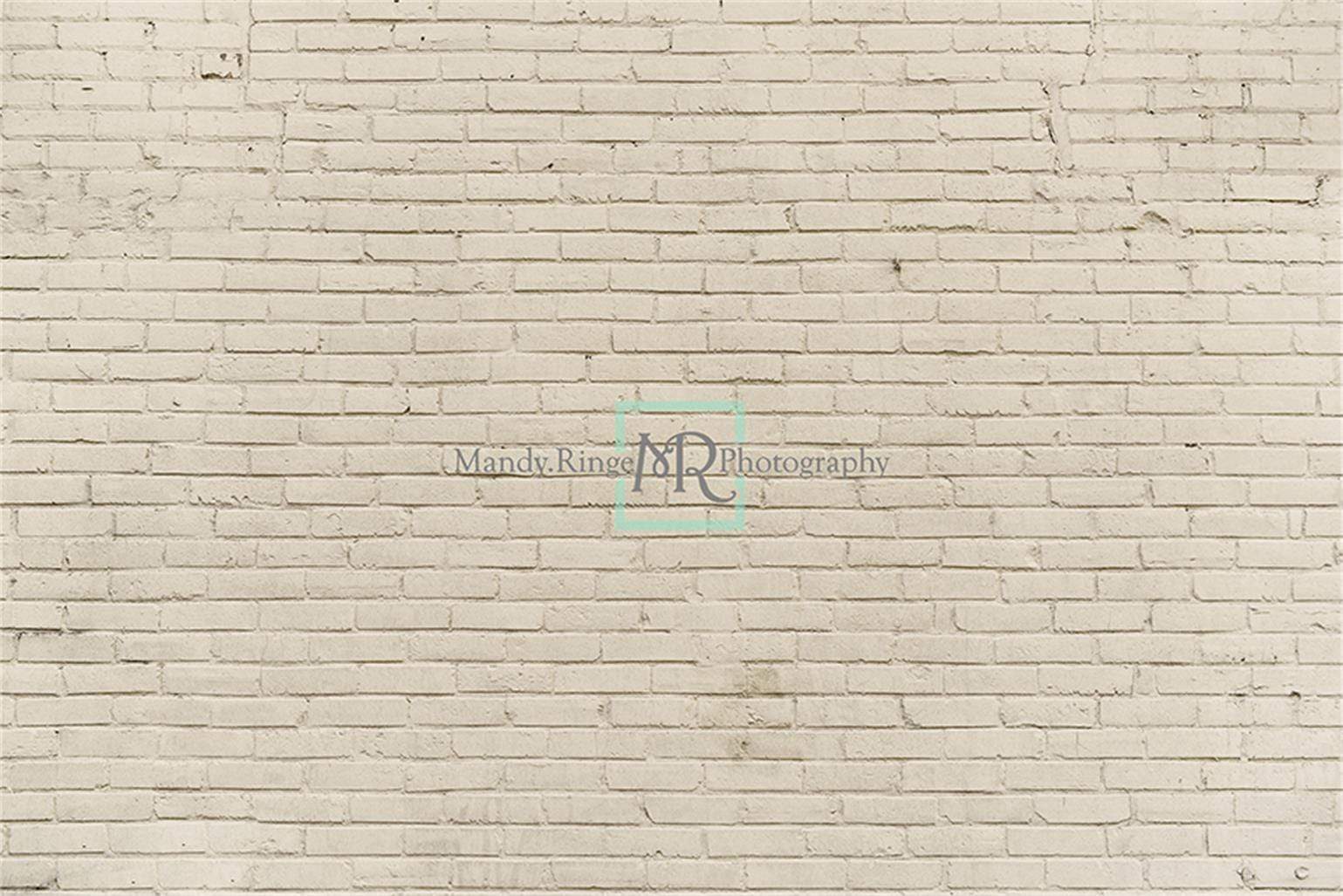 Katebackdrop£ºKate Cream Brick Photo Backdrop Designed by Mandy Ringe Photography