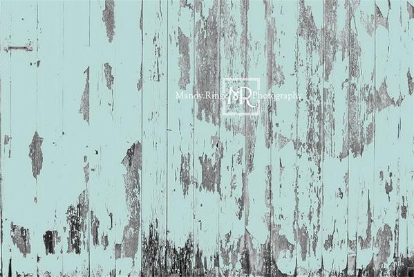 Kate Schäbig Blaugrün Scheune Holz Hintergrund von Mandy Ringe - Kate Backdrop.de