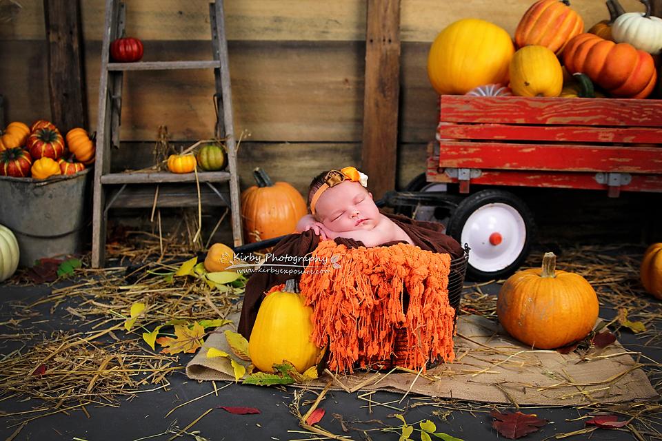 Kate Pumpkin Harvest Backdrop Herbst und Halloween von Arica Kirby entworfen