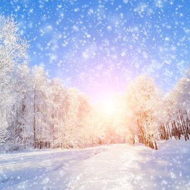 Katebackdrop:Kate purple snowflake snow street photography backdrop