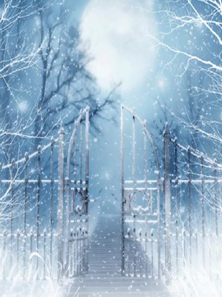 Katebackdrop:Kate Winner Photography Backdrops Bridge Gate With Snow Backdrop