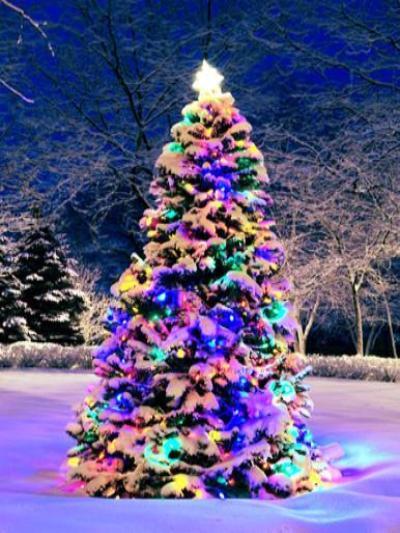 Katebackdrop:Kate Christmas Tree Photography Decoration With Colorful Lights Branch Studio Props