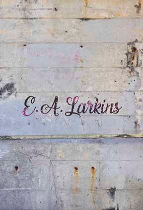 Kate Urban Backstein Hintergrund für Fotografie von Erin Larkins - Kate Backdrop.de