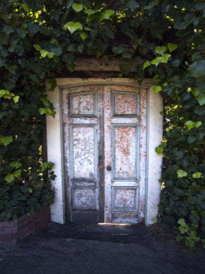 Katebackdrop:Kate Retro Style Door Green Plants Around Backdrops