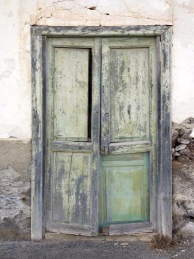 Katebackdrop:Kate Retro Style Green Door Backdrops photography