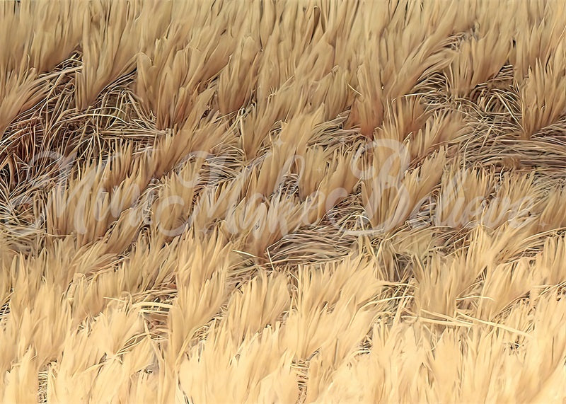 Kate Fine Art Painterly Boho Gelb getrocknetes Gras Bodenmatte für die Fotografie von Mini MakeBelieve - Kate Backdrop.de