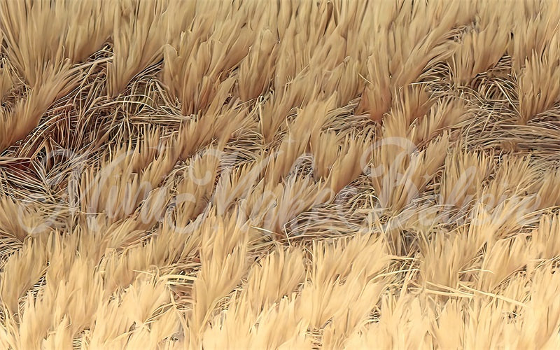 Kate Fine Art Painterly Boho Gelb getrocknetes Gras Bodenmatte für die Fotografie von Mini MakeBelieve - Kate Backdrop.de