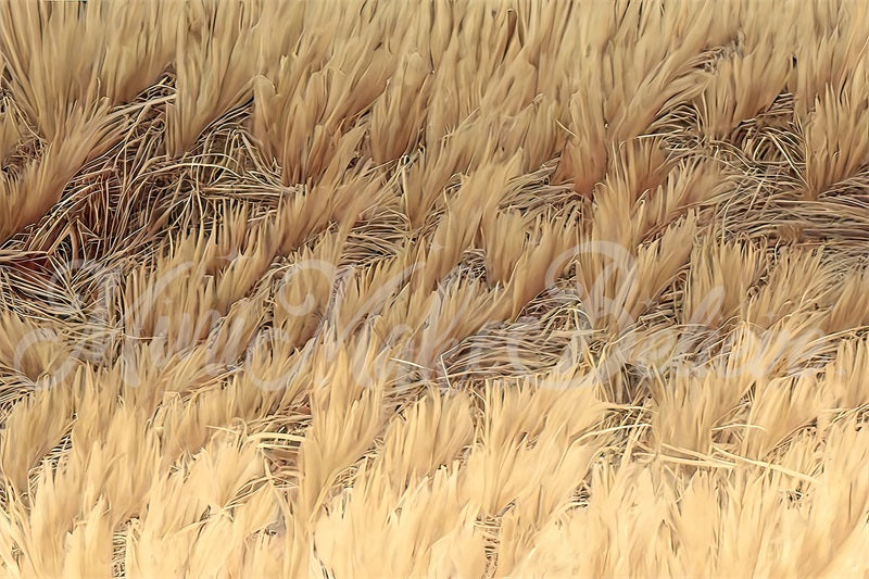 Kate Fine Art Painterly Boho Gelb getrocknetes Gras Bodenmatte für die Fotografie von Mini MakeBelieve - Kate Backdrop.de