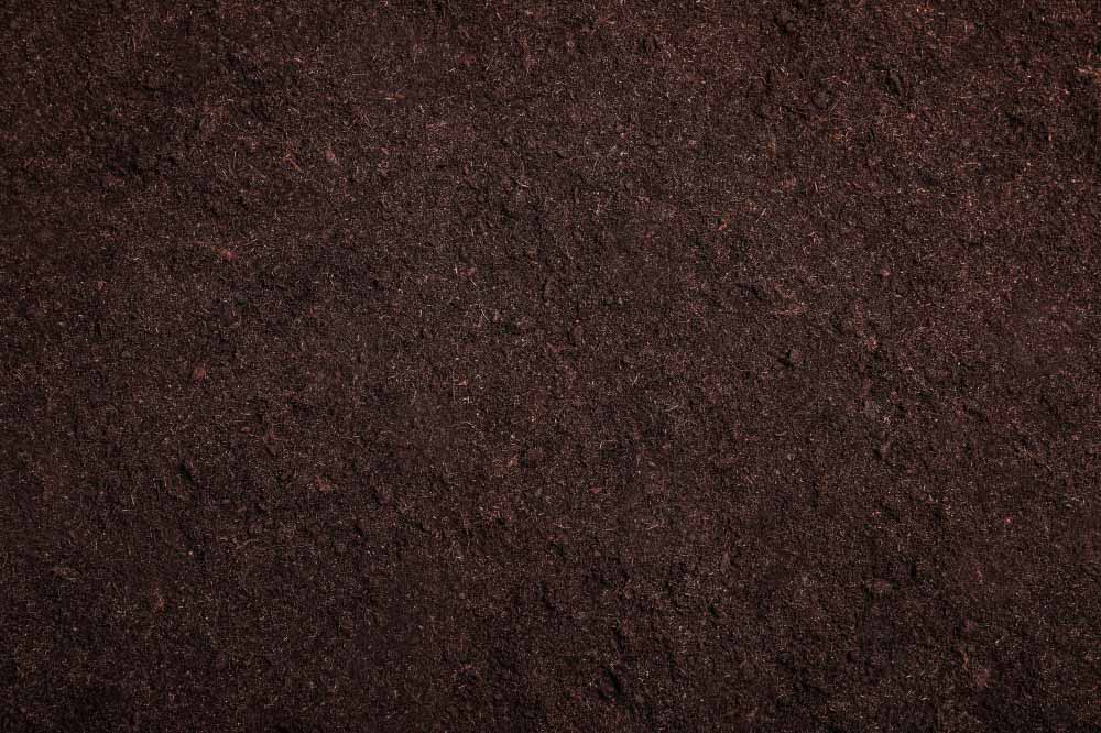 Kate Bokeh Grünton Sommer Hintergrund + Frühling Land Gummimatte Bodenmatte - Kate Backdrop.de